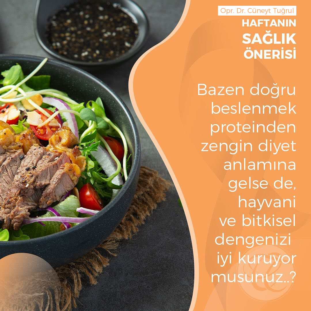 Bazen doğru beslenmek proteinden zengin diyet anlamına gelse de , hayvani ve bitkisel dengenizi iyi 